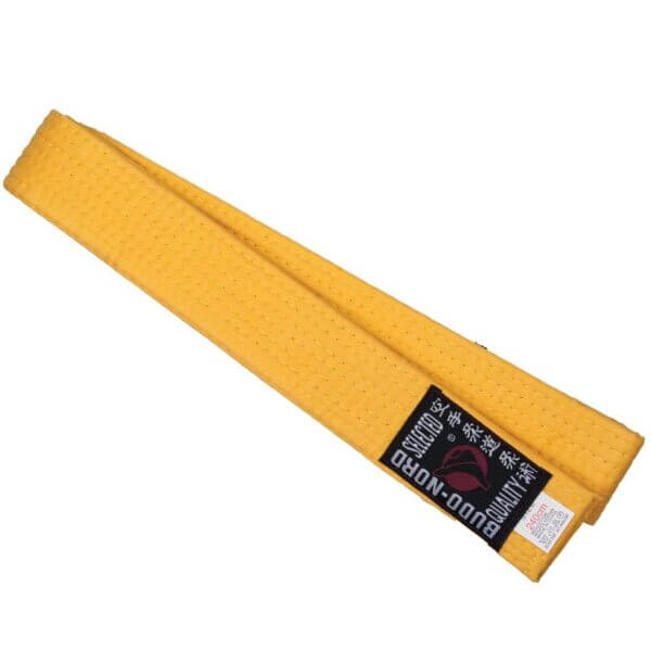 11002001belt2