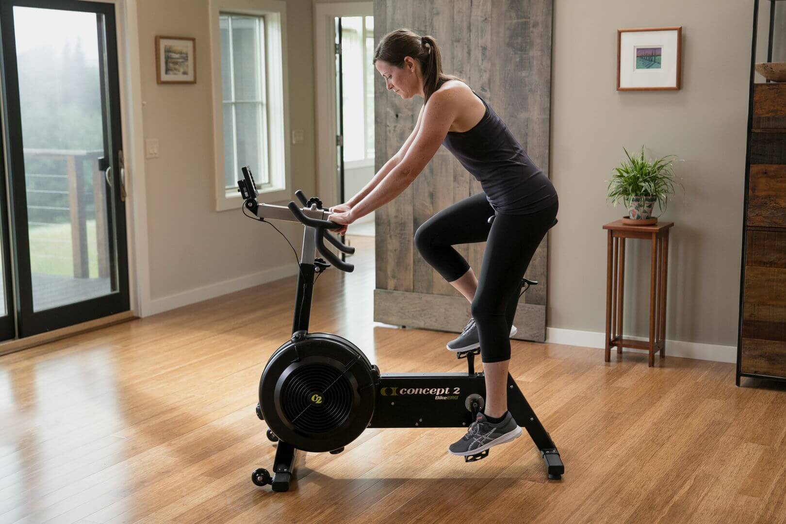 concept 2 bikeerg with zwift