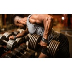 Harbinger Leather Lifting Straps - Image 3