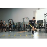 SKLZ Quick Ladder Pro - Image 2