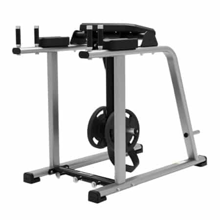 EXIGO Reverse Hyper Extension