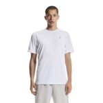 On Train-T Graphic2, stuttermabolur karla