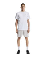 On Train-T Graphic2, stuttermabolur karla - Image 2